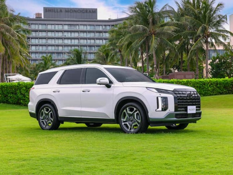 Hyundai-Palisade-duoc-ky-vong-mang-lai-loi-nhuan-cao.jpg