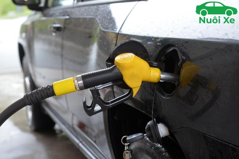 bình xăng xe 7 chỗ bao nhiêu lít