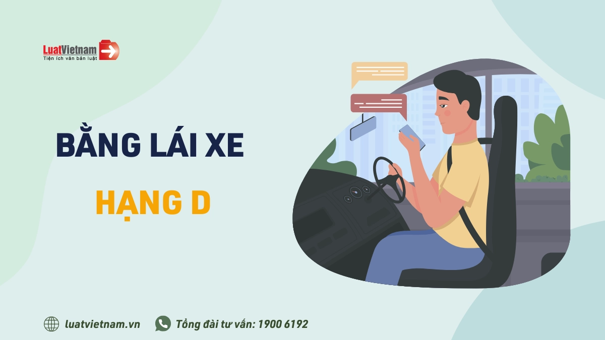 Bằng D lái được xe gì