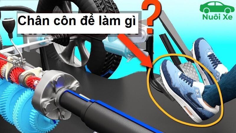 Chân Côn Là Gì? Hướng Dẫn Sử Dụng Đúng Cách Cho Người Mới 7 chan con la gi 1682