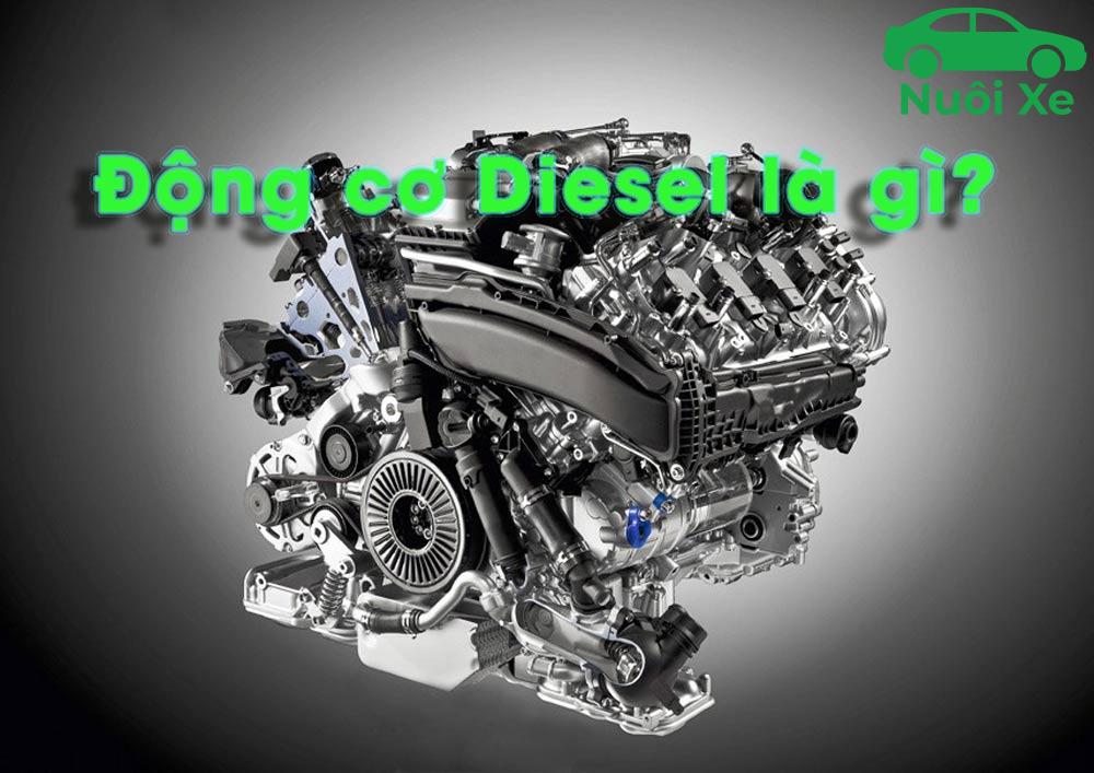 dong co diesel la gi 919