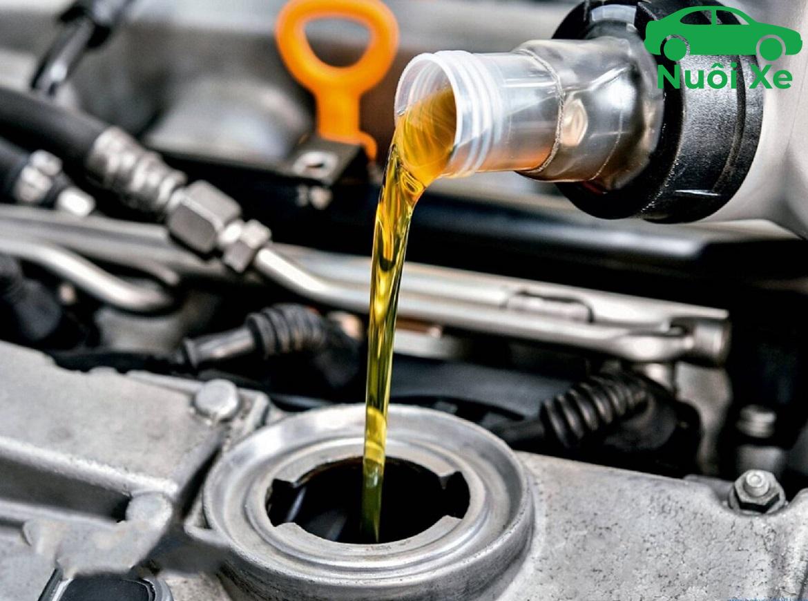 nguyên nhân áp suất dầu thấp do đâu